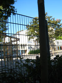 Durchblick . Das kunterbunte Zaunprojekt